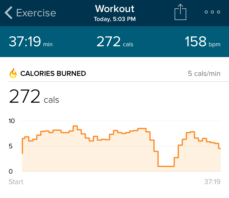 FitBit Result